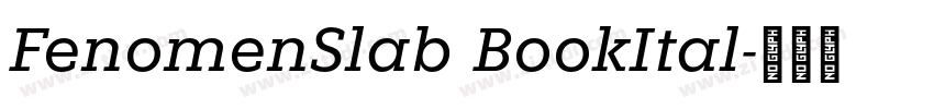 FenomenSlab BookItal字体转换